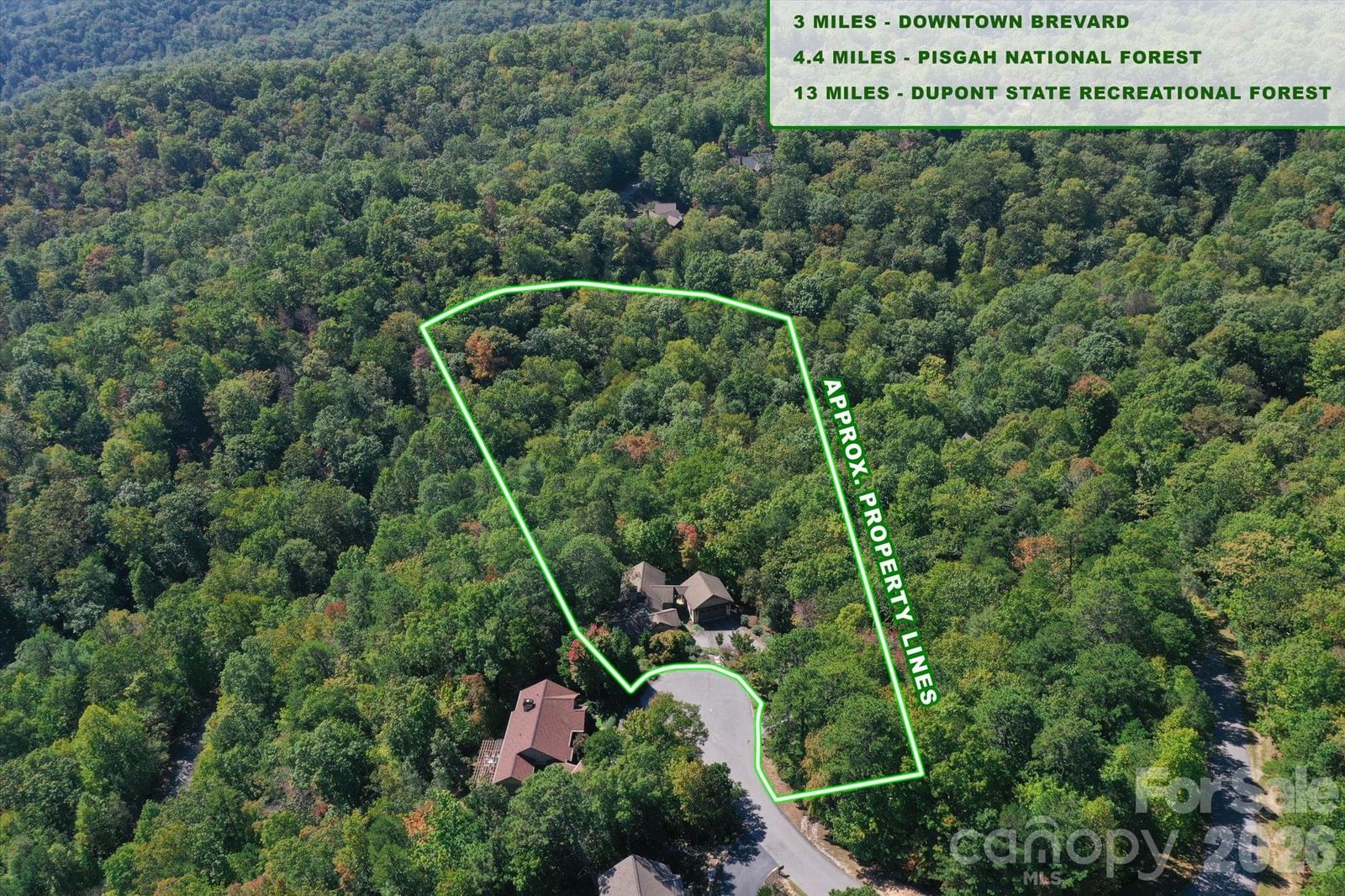44 Sunset Trace, Brevard, NC 28712 - Photo 5