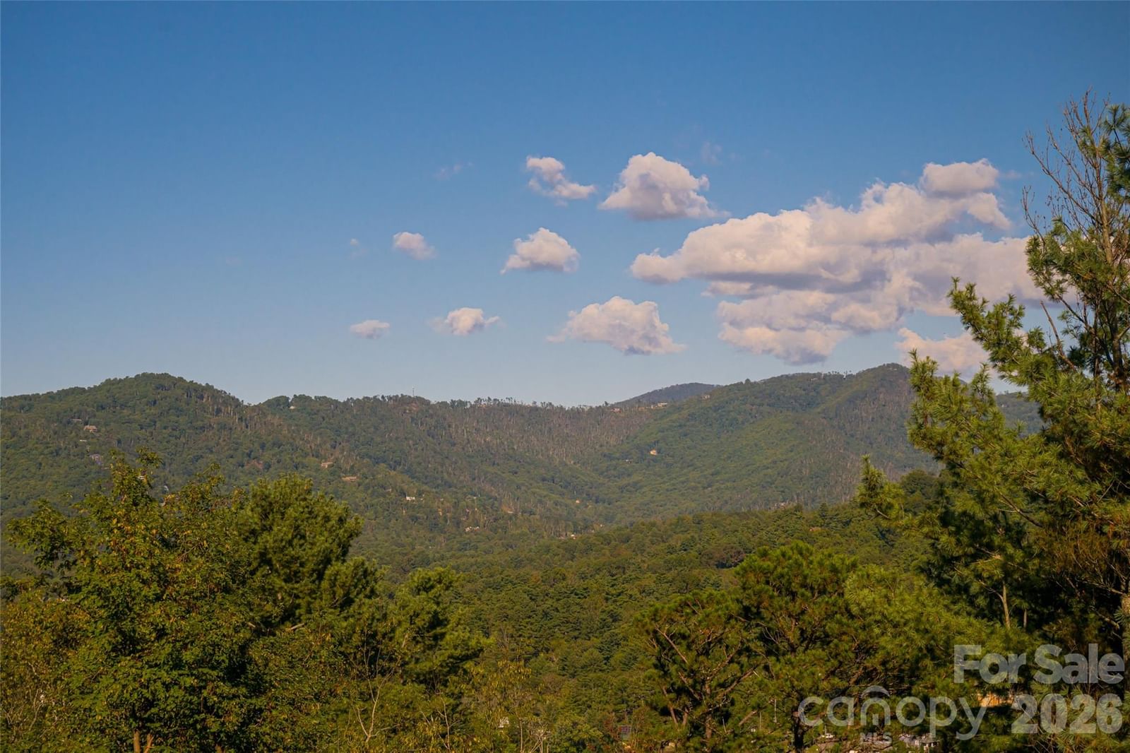 79 Horizon Hill Road, Asheville, NC 28804 - Photo 4
