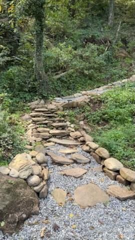 42 Mountain Farm Road, Burnsville, NC 28714 - Photo 4