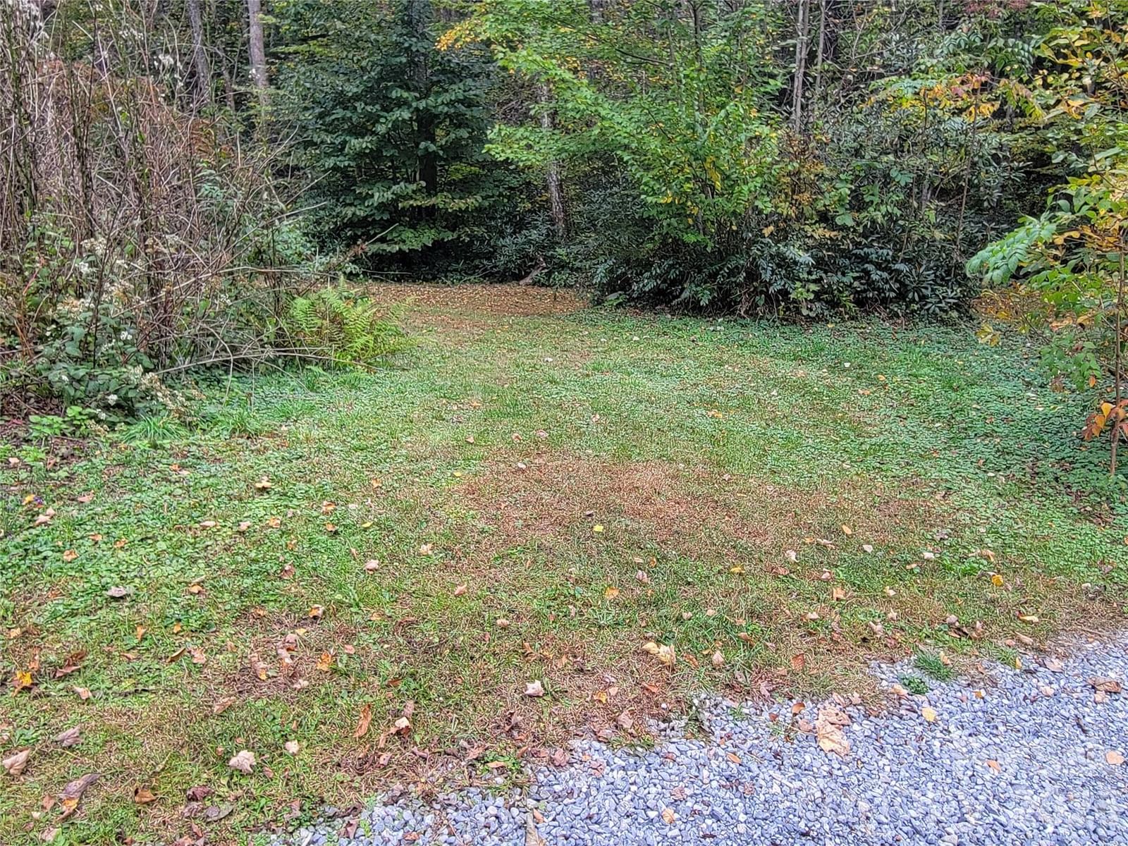1061 Caldwell Drive, Maggie Valley, NC 28751 - Photo 3