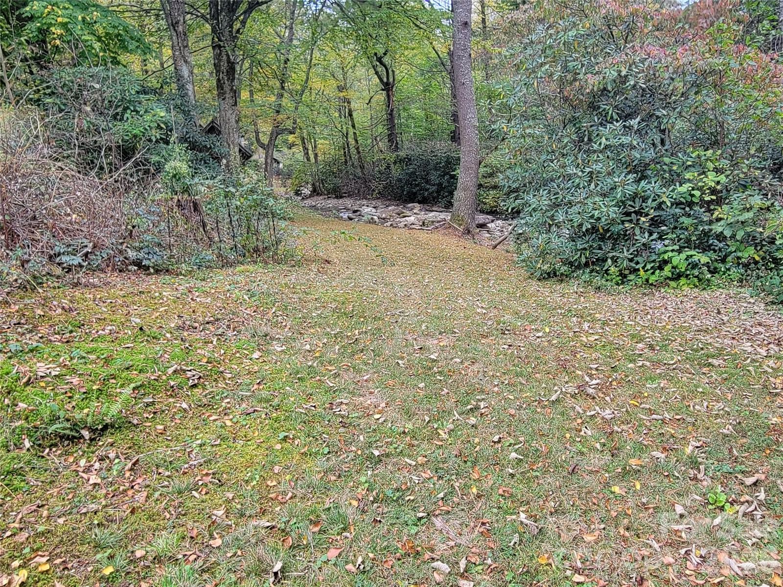 1061 Caldwell Drive, Maggie Valley, NC 28751 - Photo 4