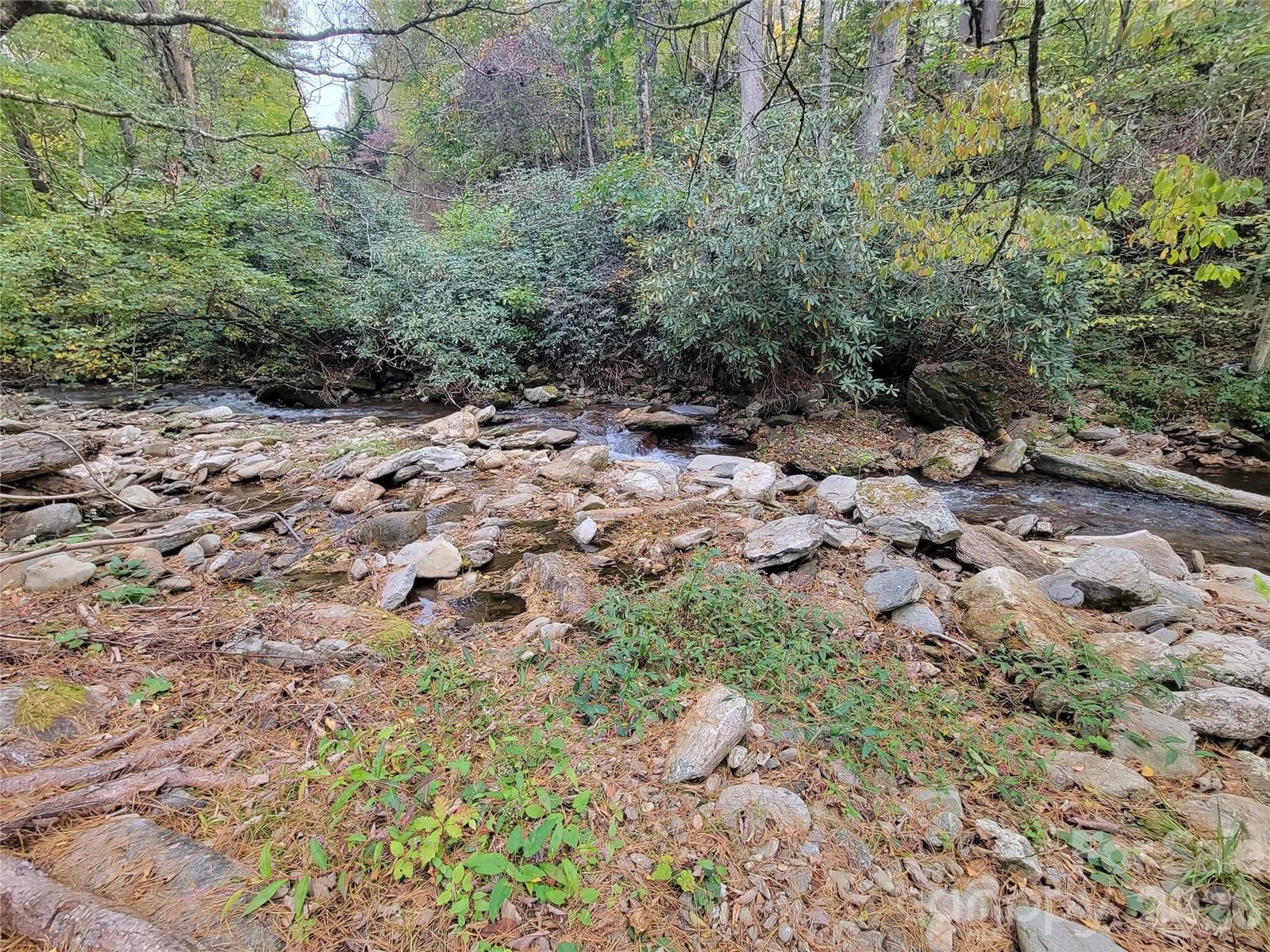 1061 Caldwell Drive, Maggie Valley, NC 28751 - Photo 5