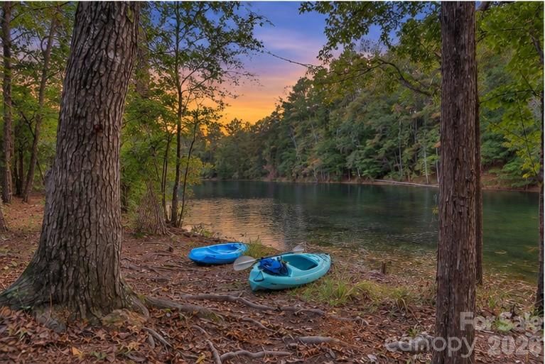 1869 Still Water Lane, Indian Land, SC 29707 - Photo 2