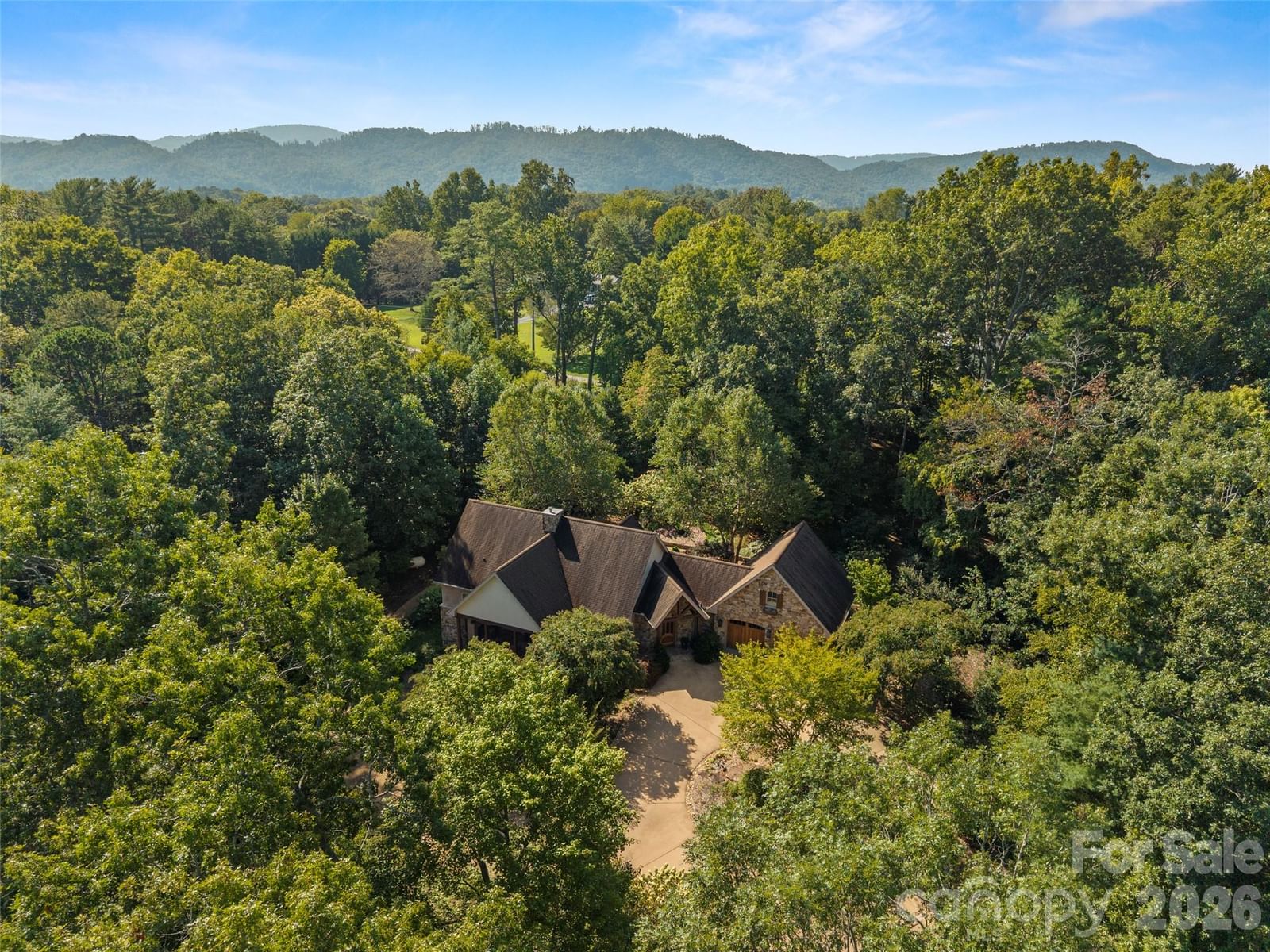 89 Emmas Grove Road, Fletcher, NC 28732 - Photo 3