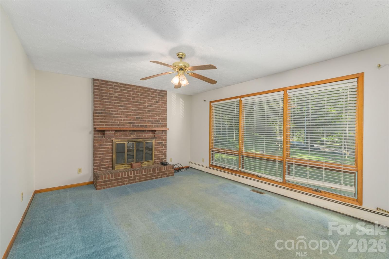 2882 Butler Bridge Road, Mills River, NC 28759 - Photo 4