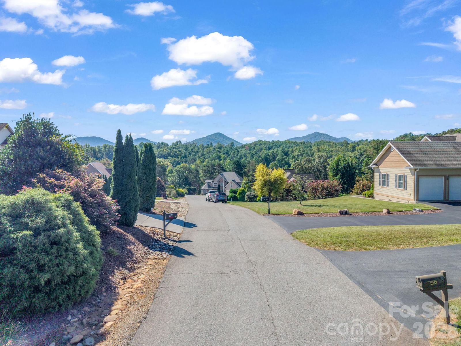 61 Mountain Shadows Drive, Leicester, NC 28748 - Photo 2