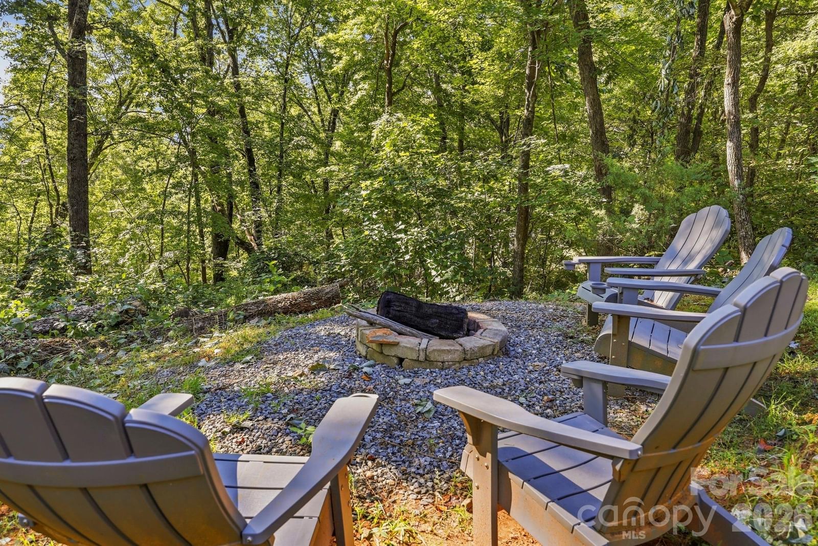 119 Celestial Way, Mill Spring, NC 28756 - Photo 4