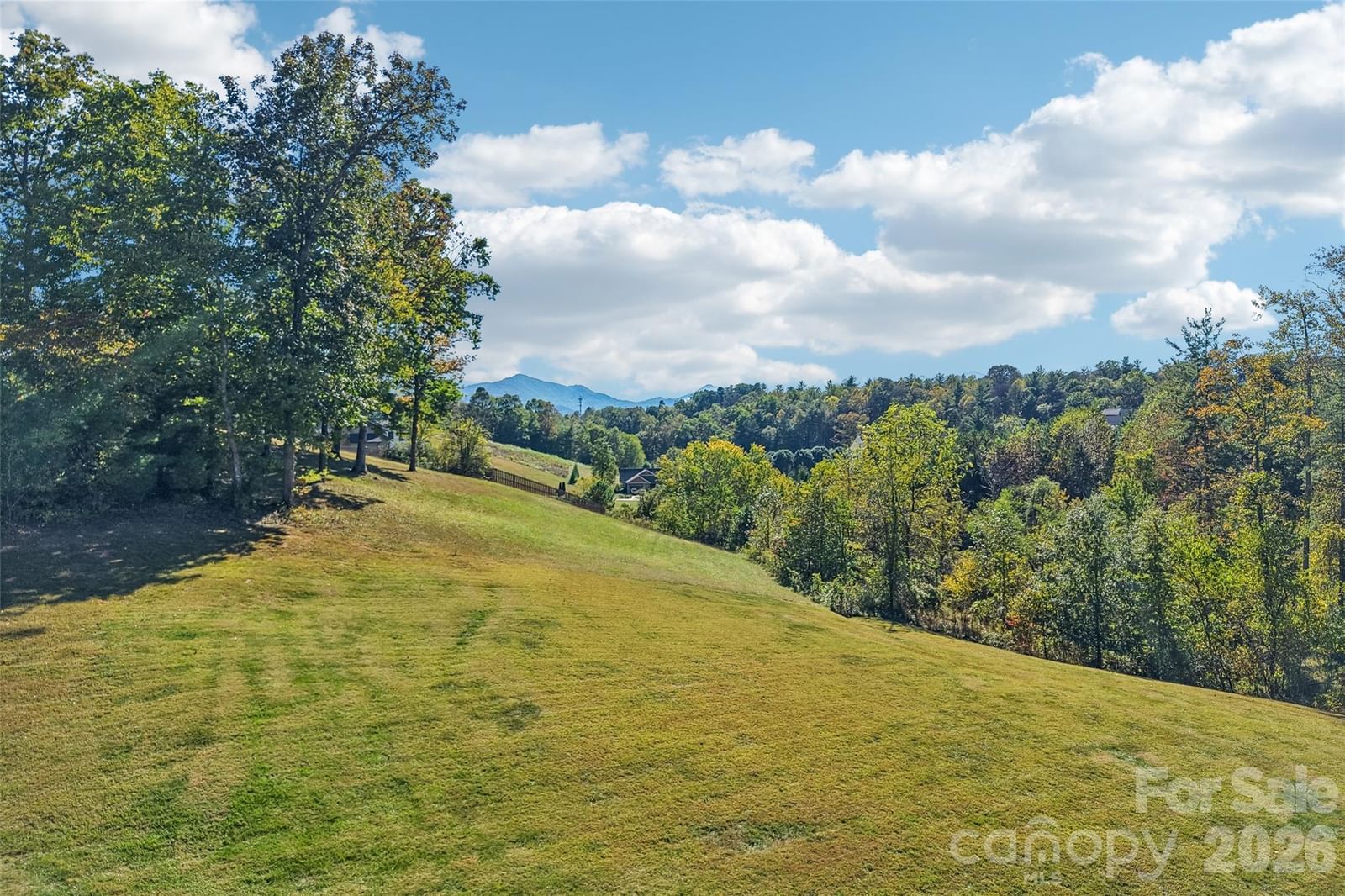 15 Temujin Drive, Leicester, NC 28748 - Photo 3
