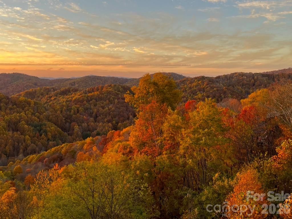 109 Valley Heights Drive, Mars Hill, NC 28754 - Photo 3