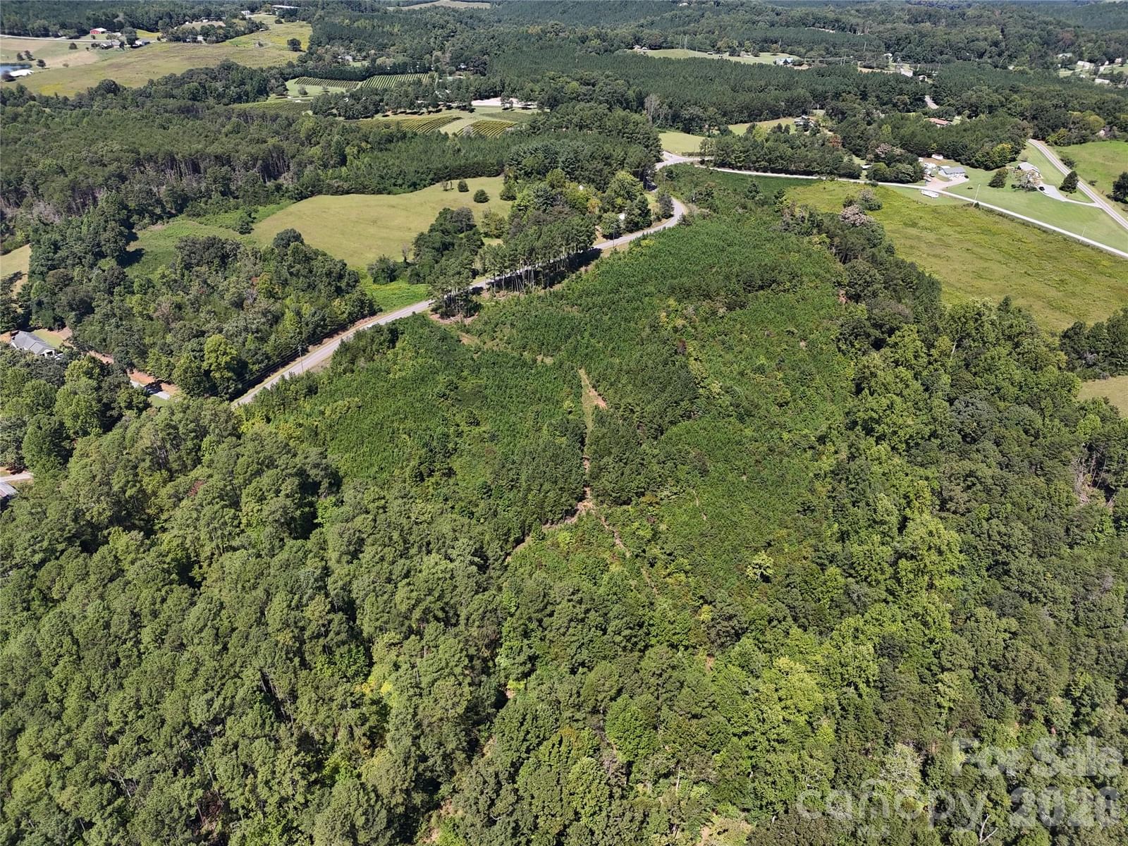 2125 Whiteside Road, Mill Spring, NC 28756 - Photo 3