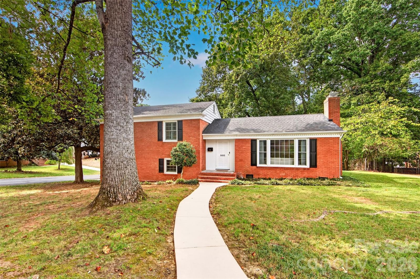 3022 Finley Place, Charlotte, NC 28210 - Photo 5