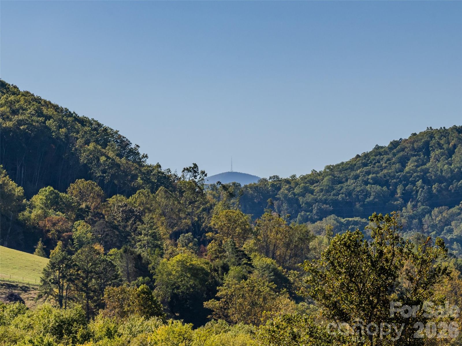 103 Hayes Ridge Lane, Mills River, NC 28759 - Photo 4