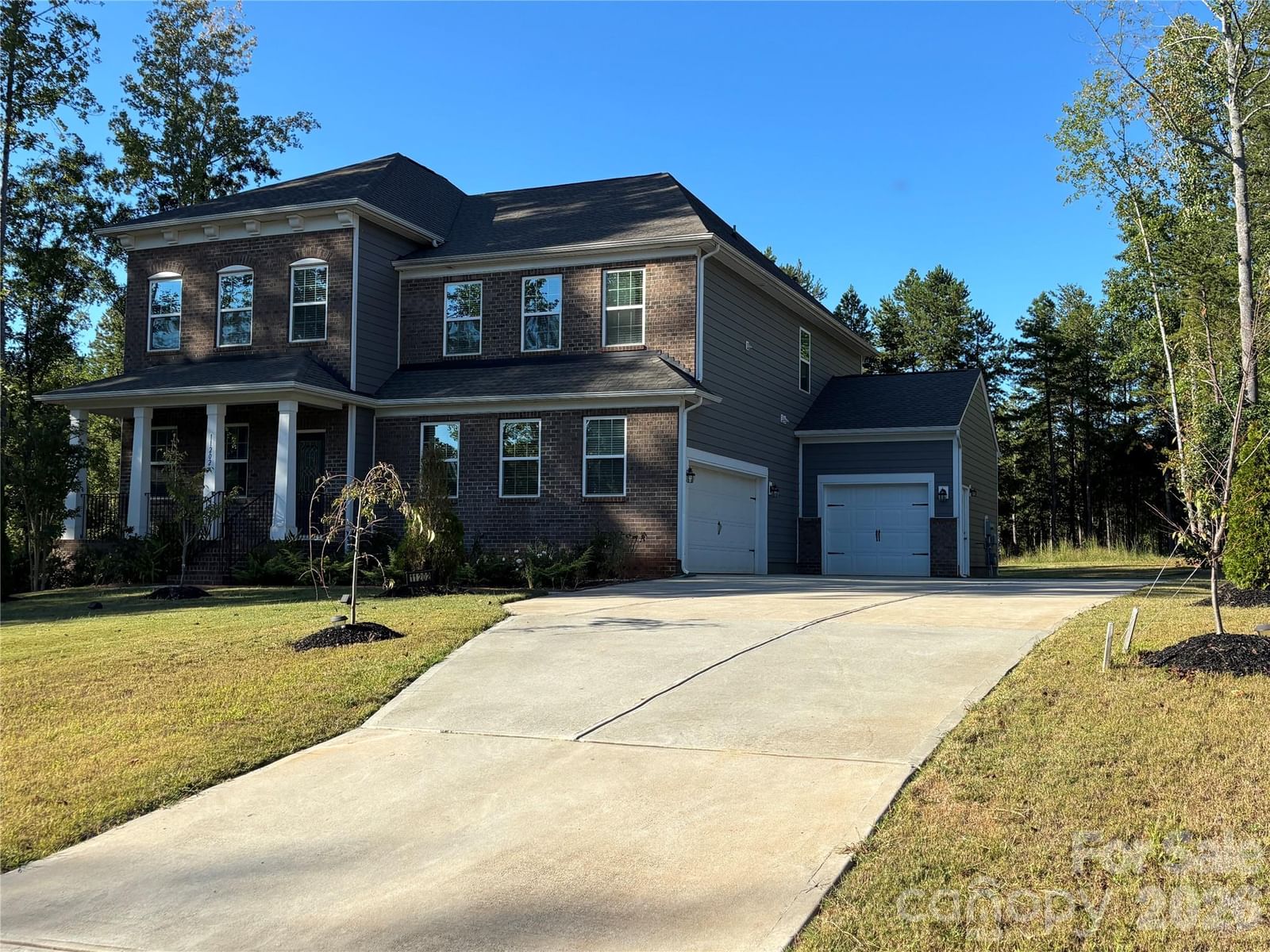 11202 Dappled Light Trail, Mint Hill, NC 28227 - Photo 2