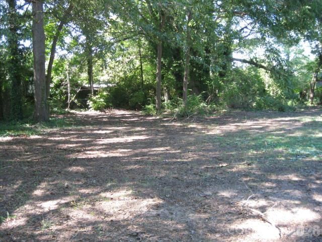 207 Palmer Street, Shelby, NC 28150 - Photo 4