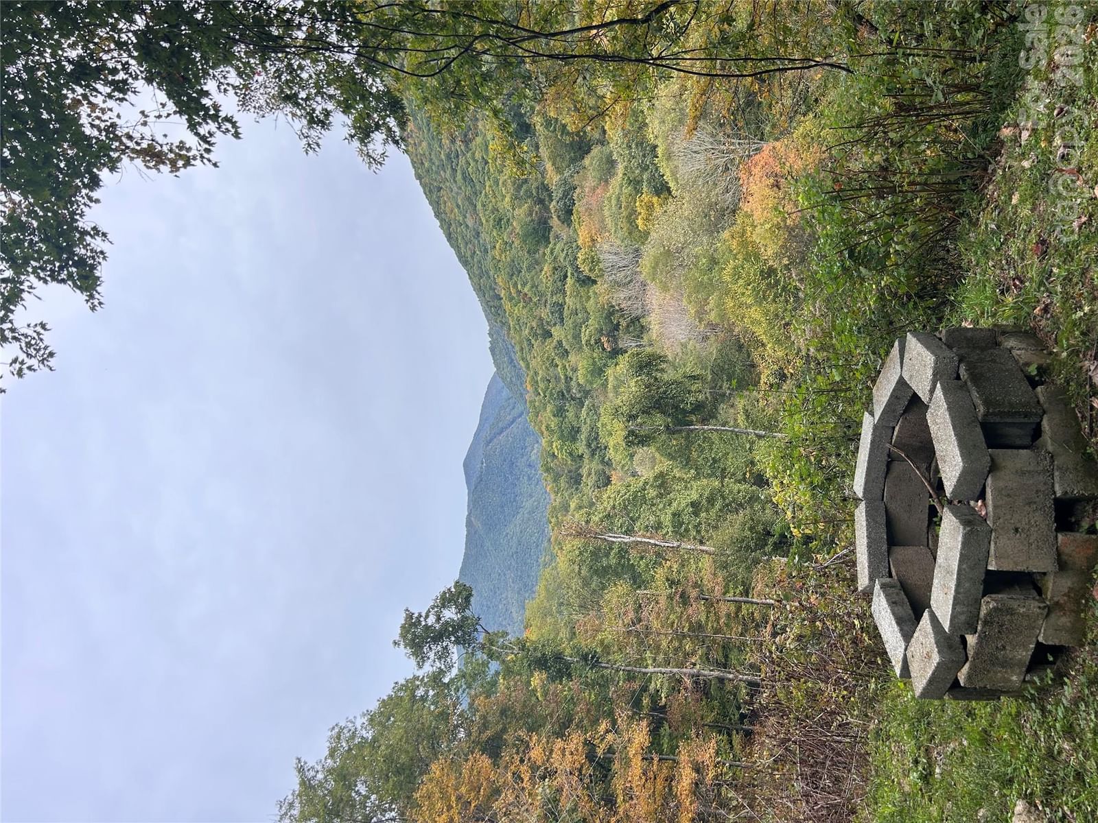 340 Wayah Zooshuga Road, Maggie Valley, NC 28751 - Photo 4