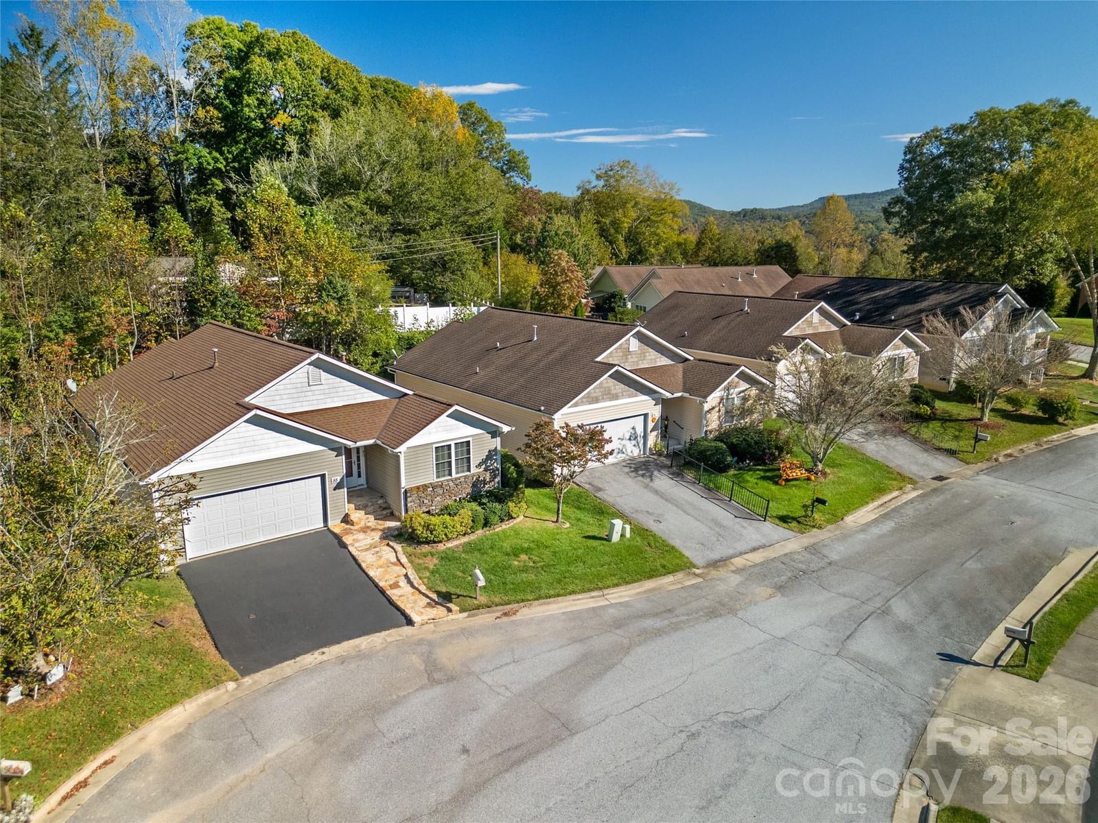 88 Danbury Lane, Brevard, NC 28712 - Photo 4