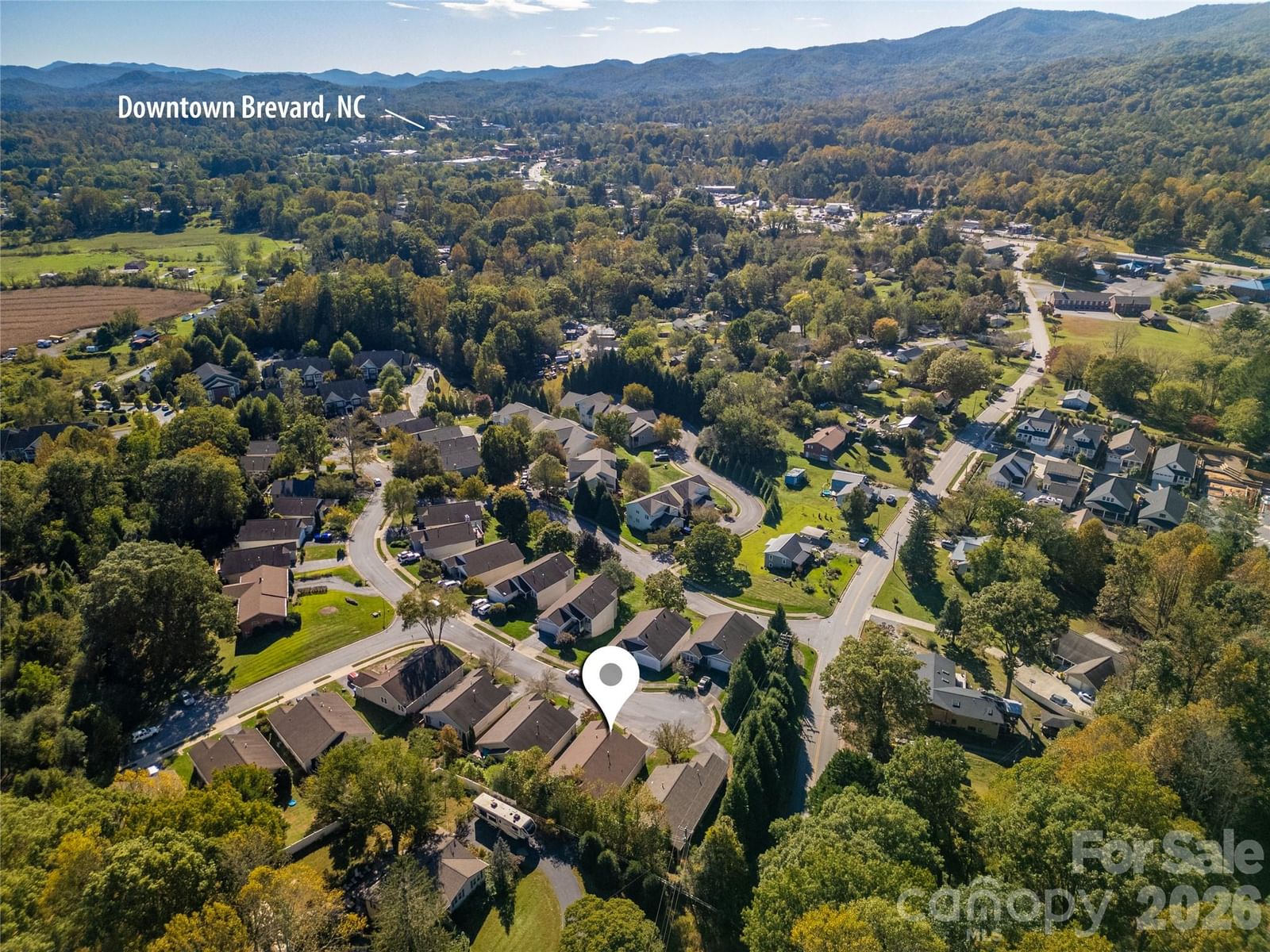 88 Danbury Lane, Brevard, NC 28712 - Photo 5