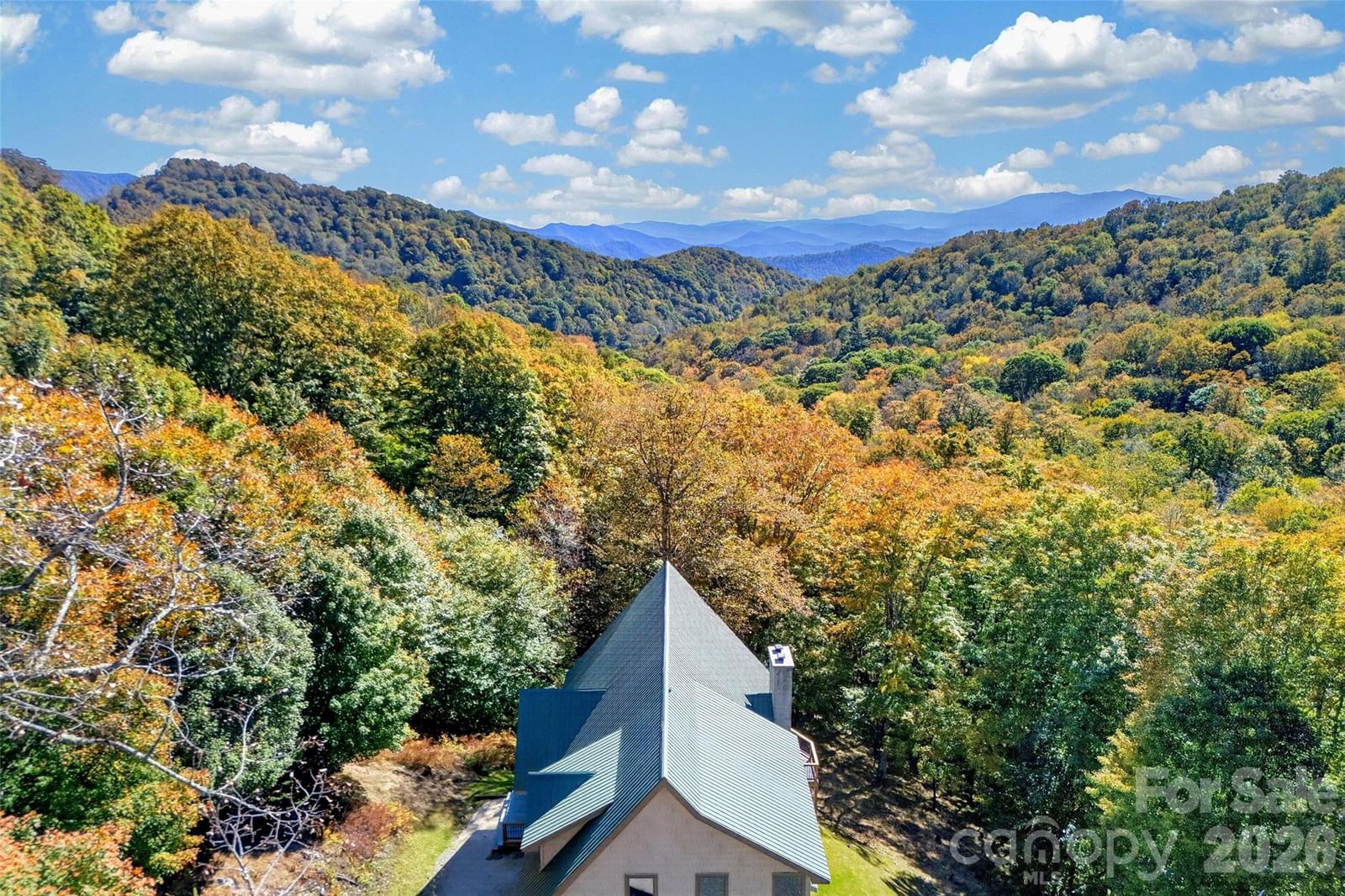 155 Mule Trail Drive, Bakersville, NC 28705 - Photo 3