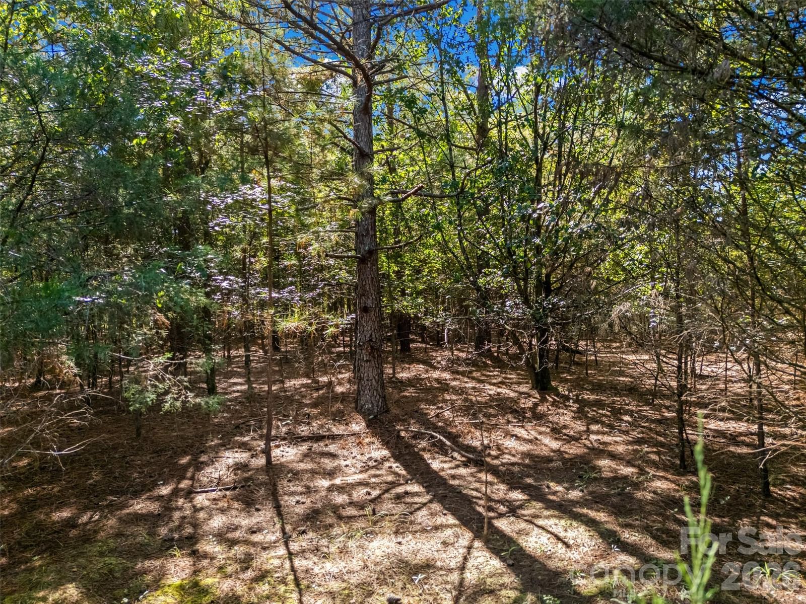 7215 Cunningham Lane, Indian Trail, NC 28079 - Photo 2