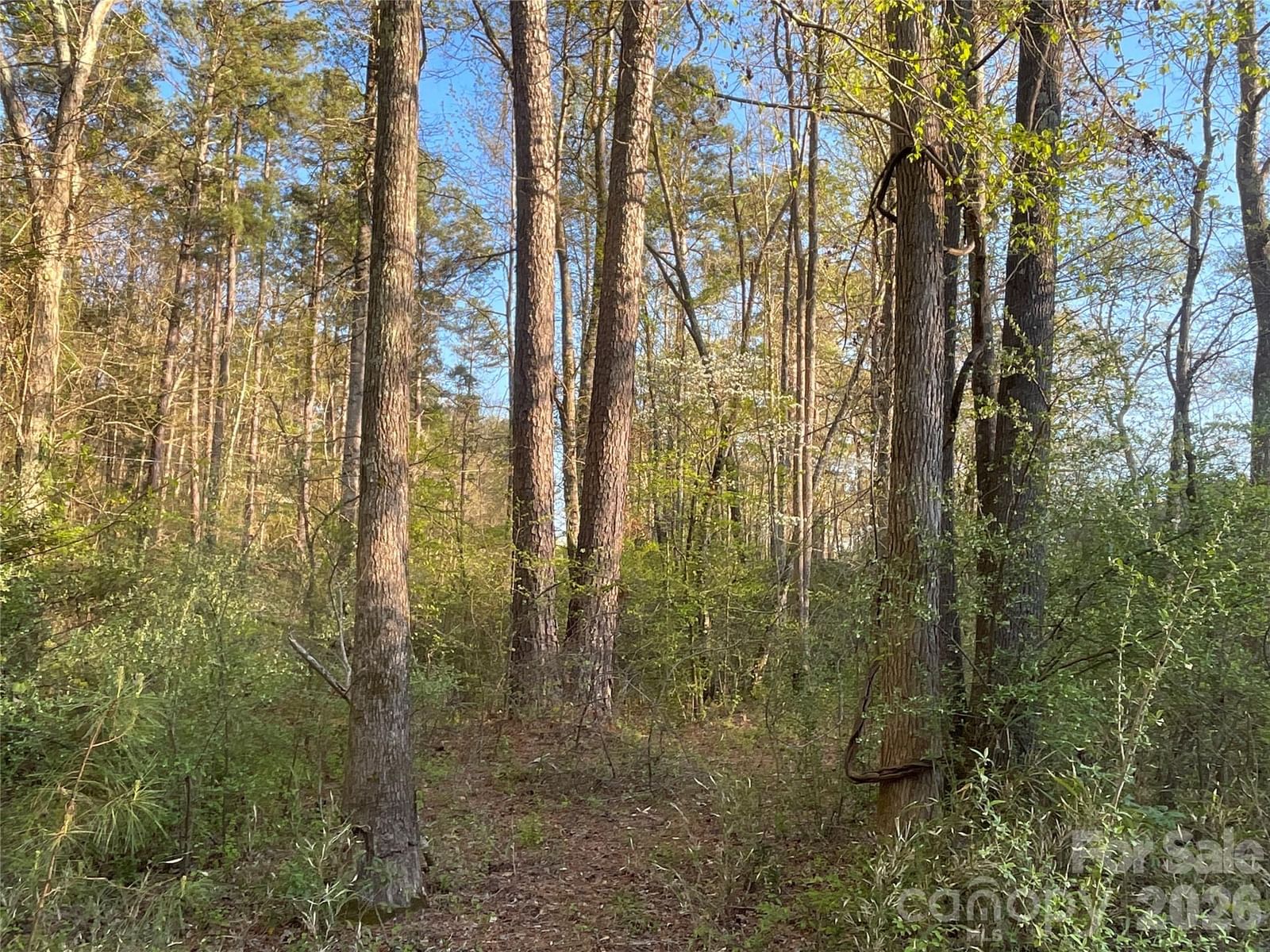 Property at 161 little river #1, Indian Land, SC 29707