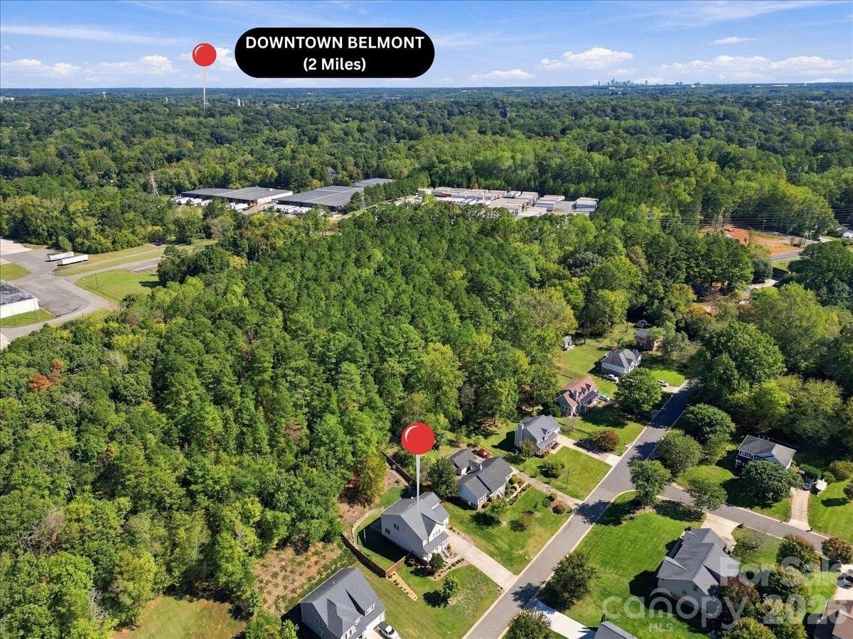 204 Southfork Lane, Belmont, NC 28012 - Photo 4