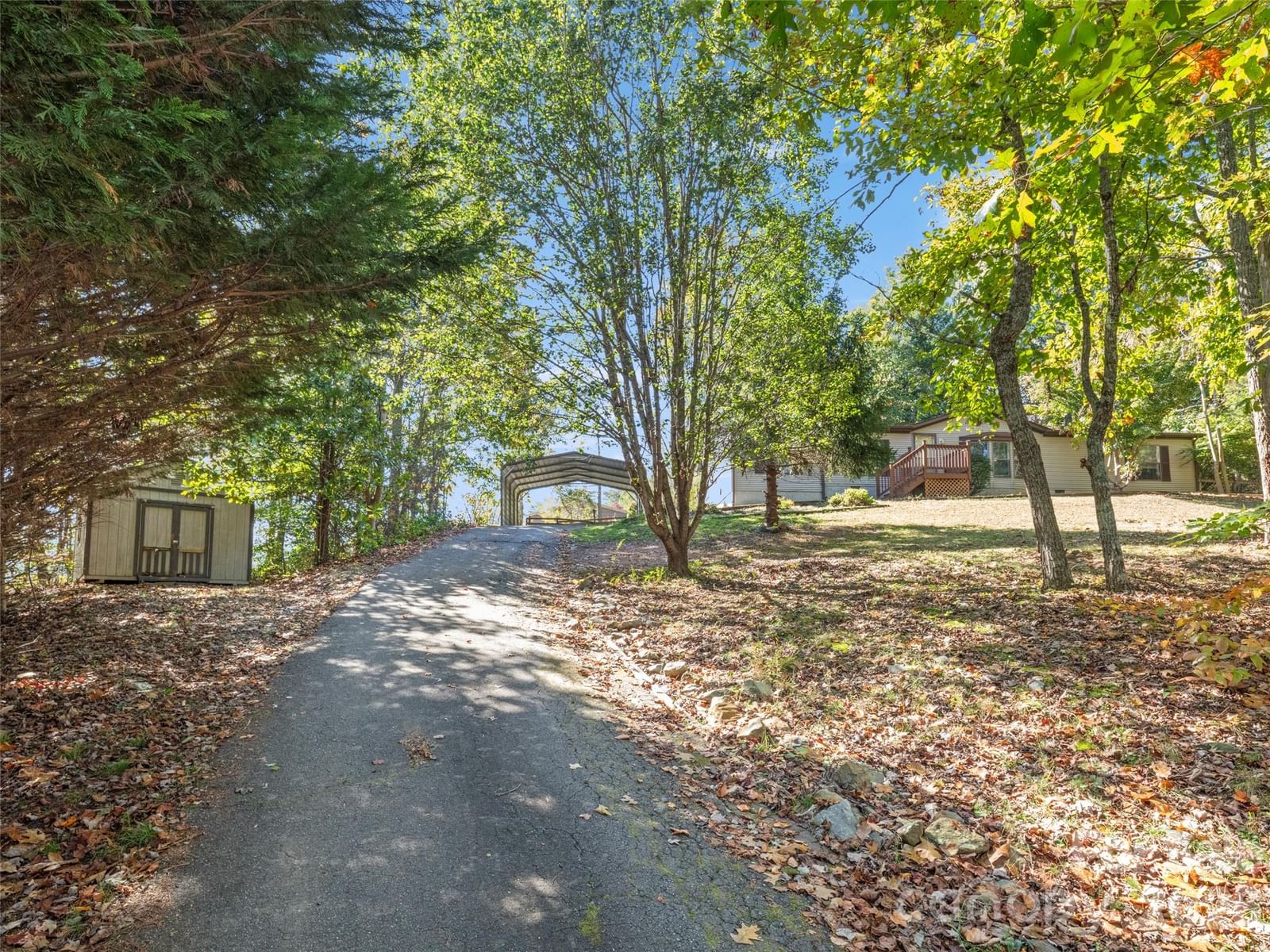 115 Sleepy Forest Drive, Leicester, NC 28748 - Photo 3