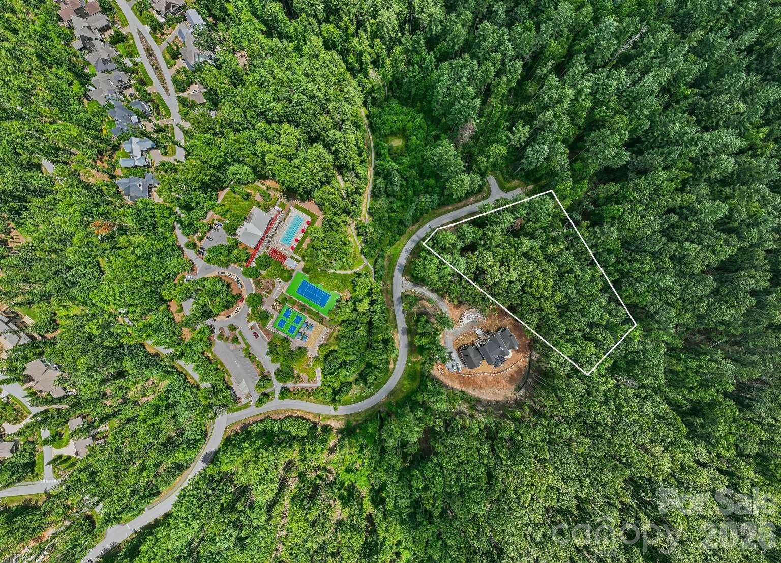 31 Promenade Drive, Asheville, NC 28803 - Photo 4
