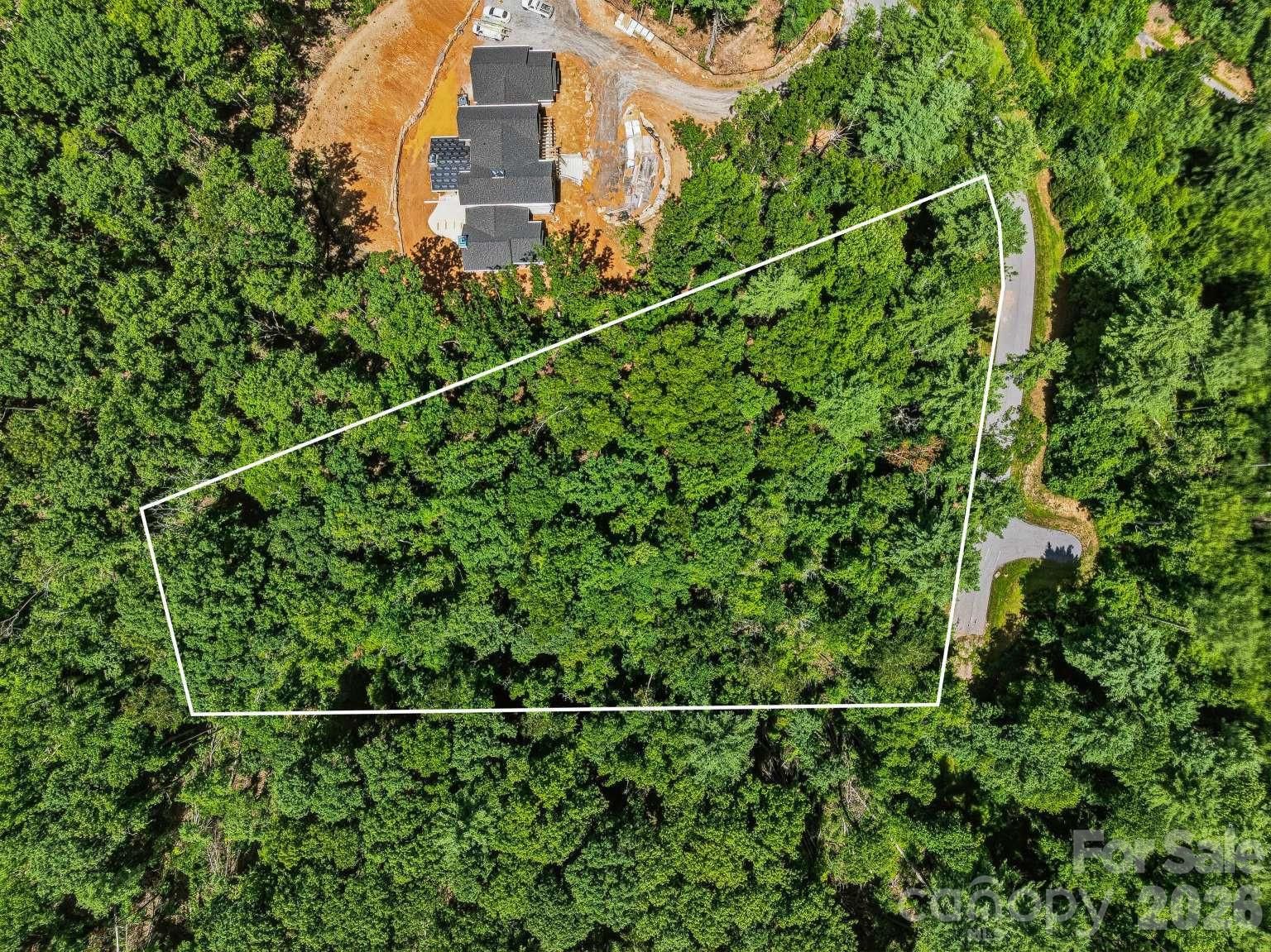31 Promenade Drive, Asheville, NC 28803 - Photo 5