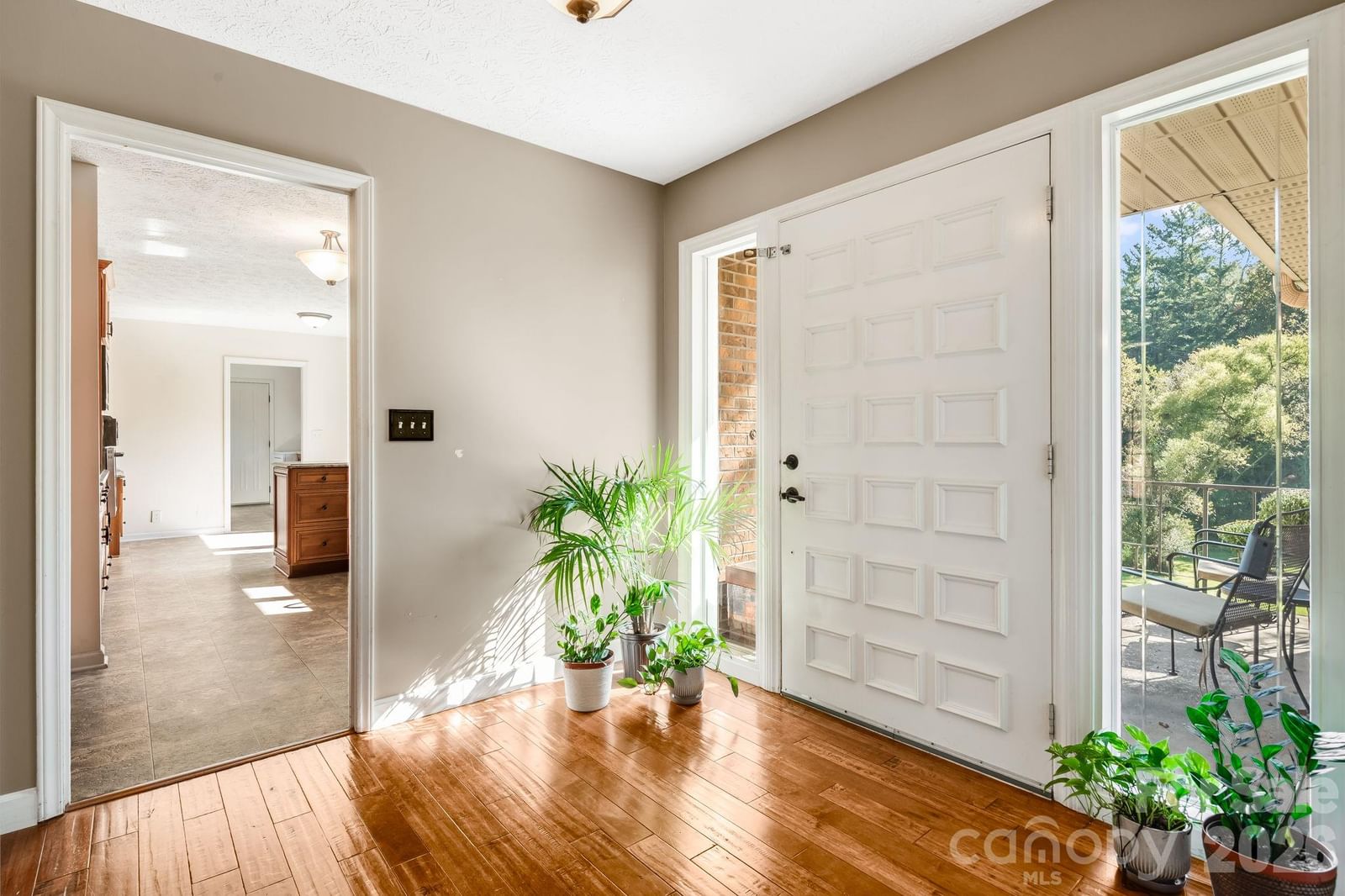 165 Horizon View Drive, Horse Shoe, NC 28742 - Photo 4