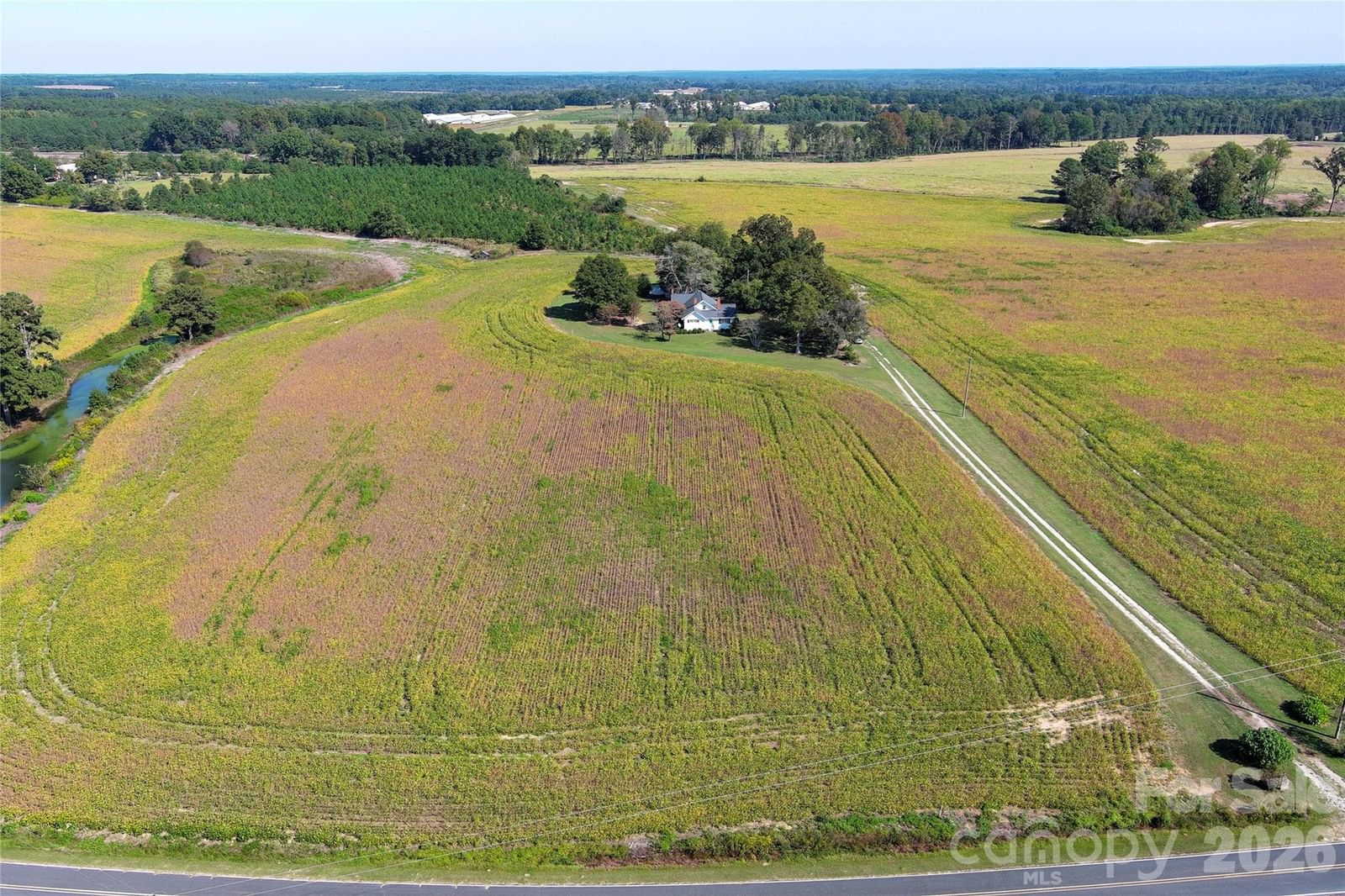 435 Webb Road, Wadesboro, NC 28170 - Photo 3