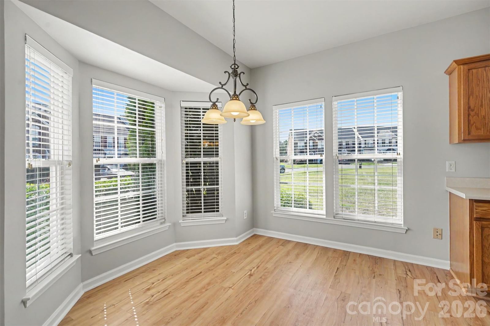 4083 Holly Villa Circle, Indian Trail, NC 28079 - Photo 3