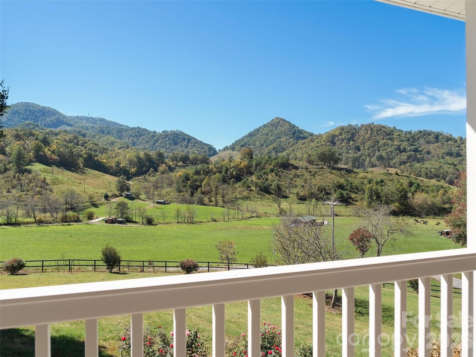 43 Eagle Ridge, Clyde, NC 28721 - Photo 5