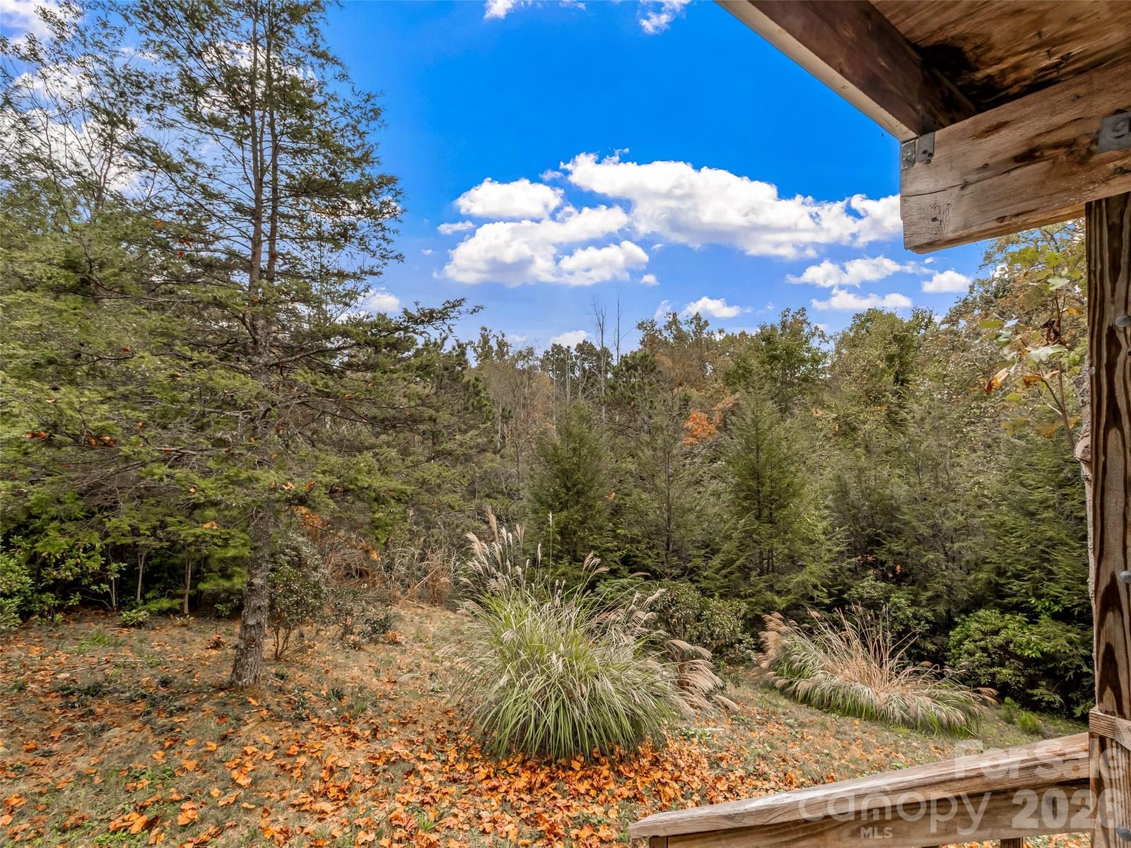 50 Wild Iris Drive, Burnsville, NC 28714 - Photo 3