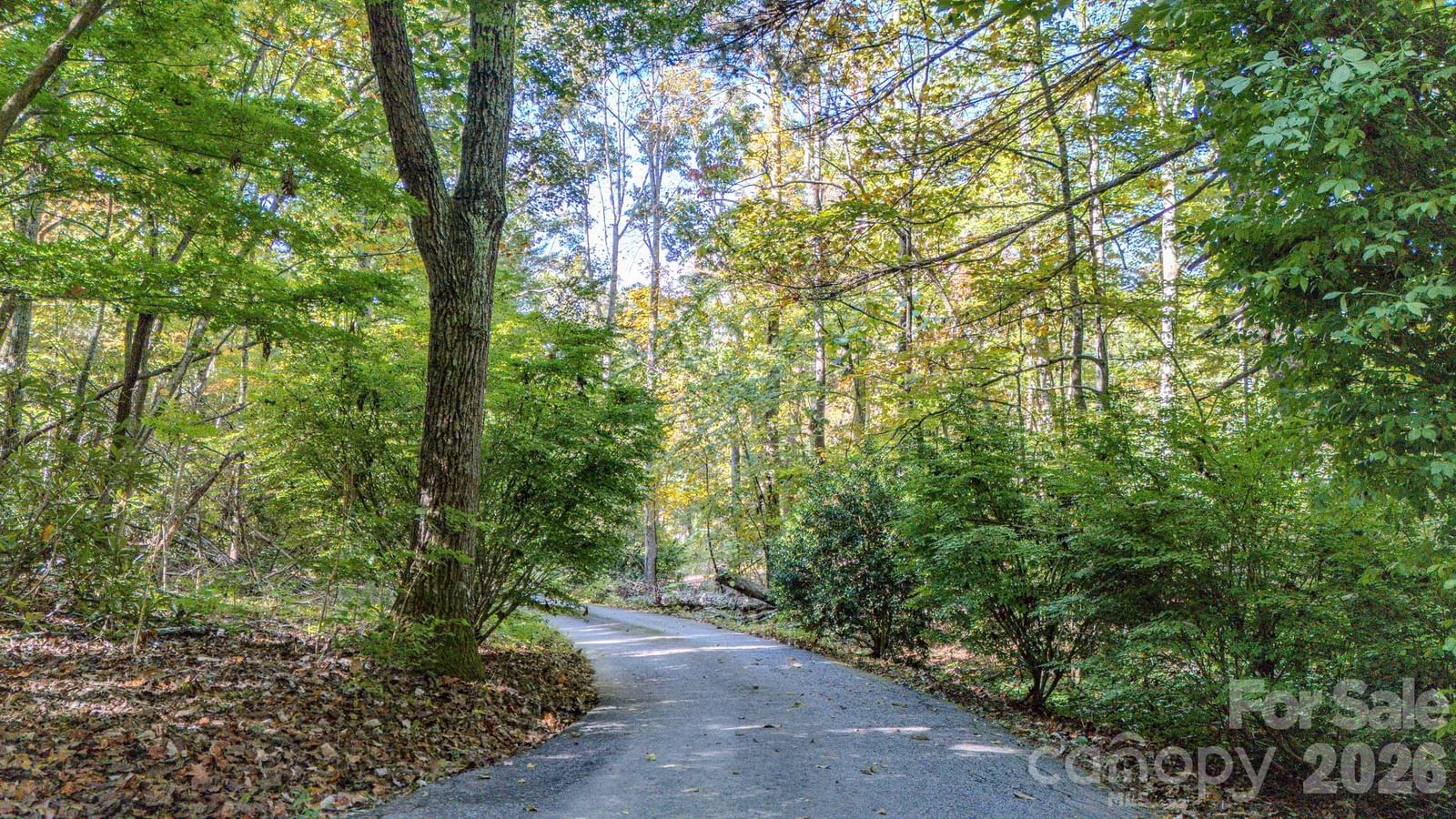 75 Harrison Hill Road, Swannanoa, NC 28778 - Photo 2