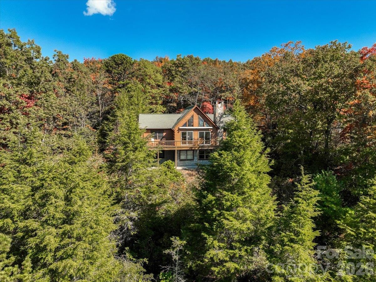 807 Pine Tree Road, Spruce Pine, NC 28777 - Photo 3
