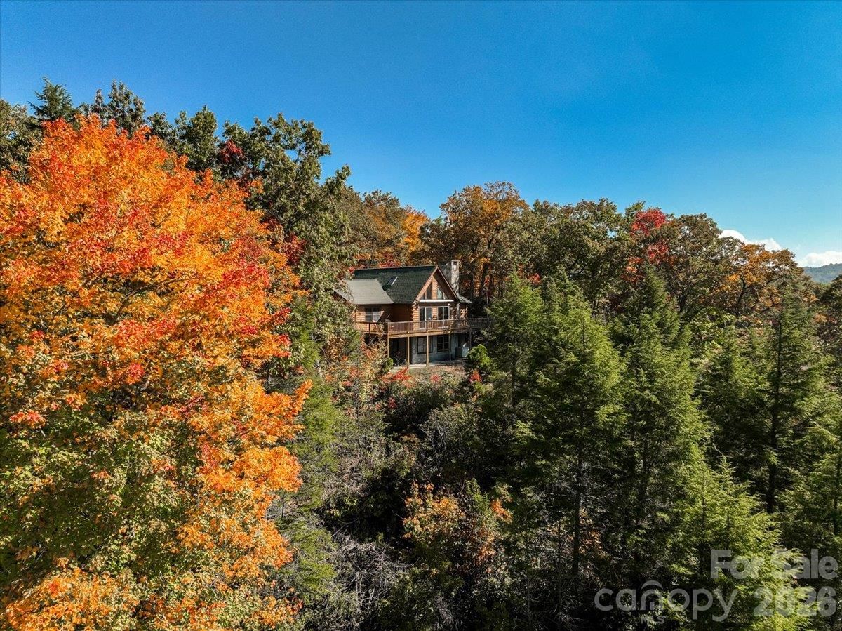 807 Pine Tree Road, Spruce Pine, NC 28777 - Photo 4