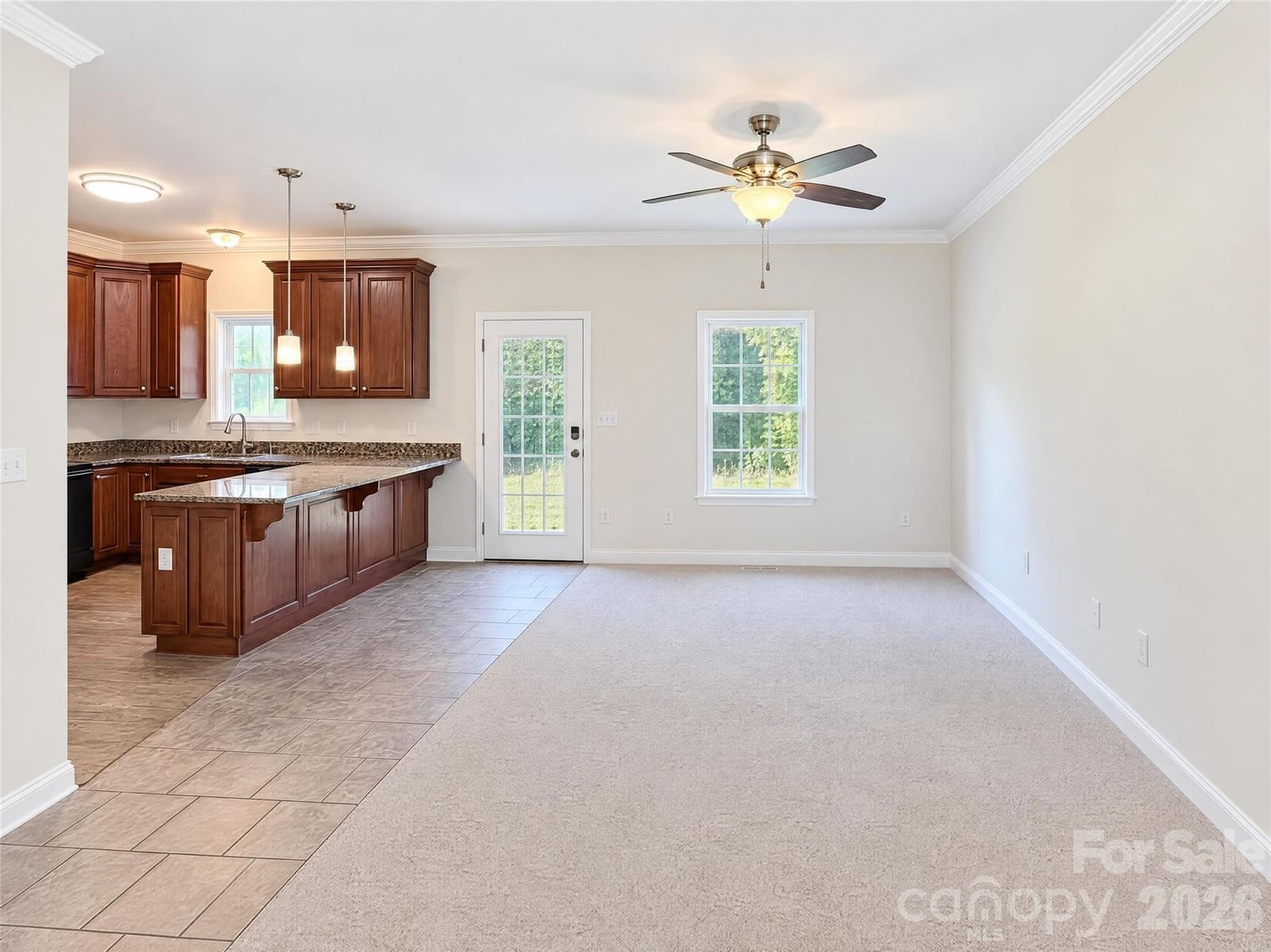 229 Delview Drive, Cherryville, NC 28021 - Photo 3