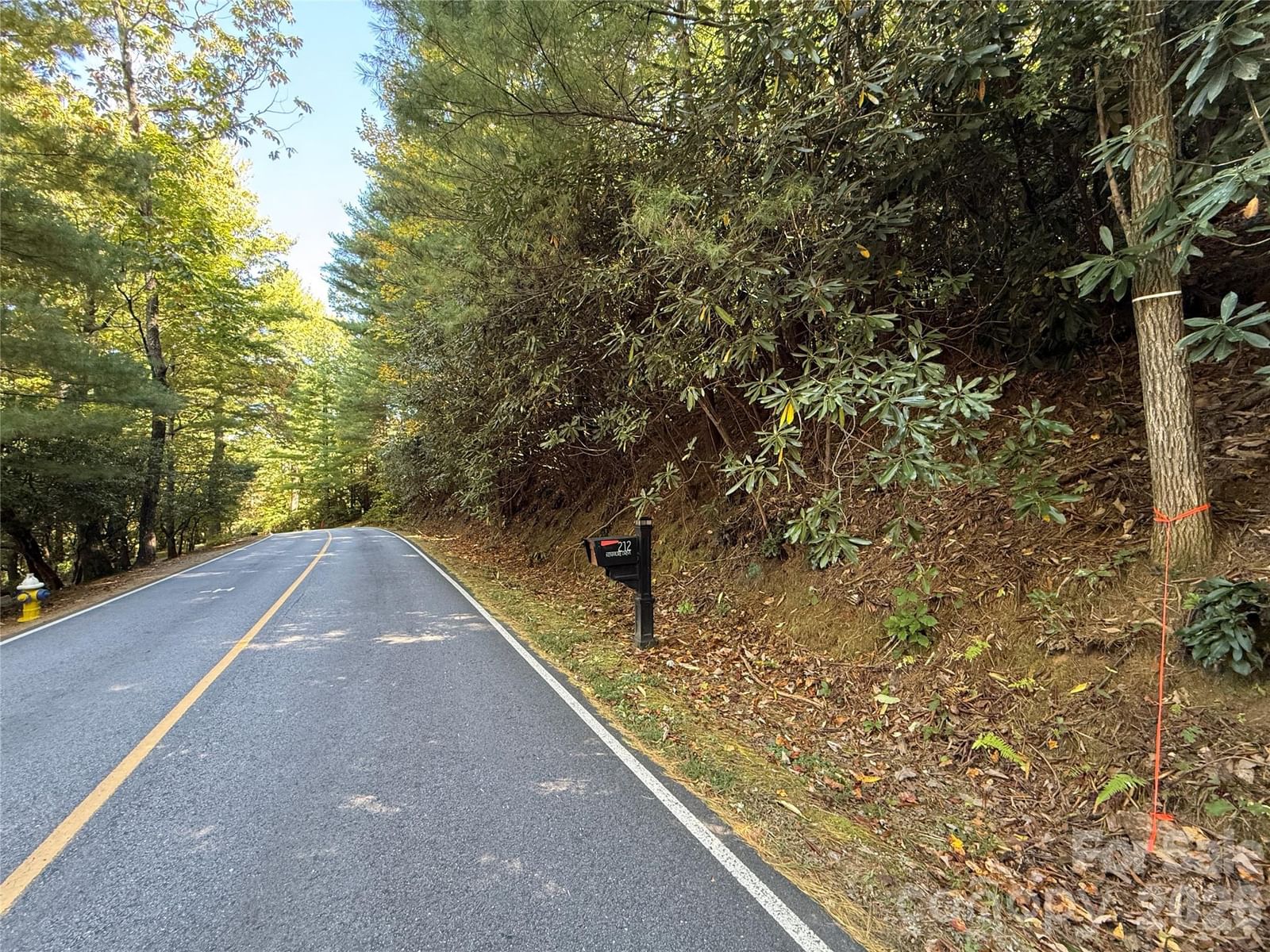 Lot 81 - R Kenmure Drive, Flat Rock, NC 28731 - Photo 2