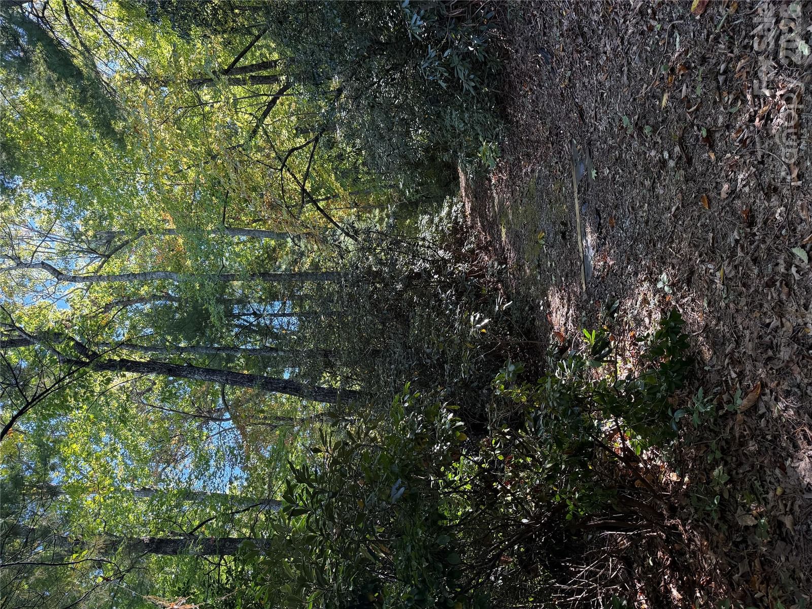 Lot 81 - R Kenmure Drive, Flat Rock, NC 28731 - Photo 4