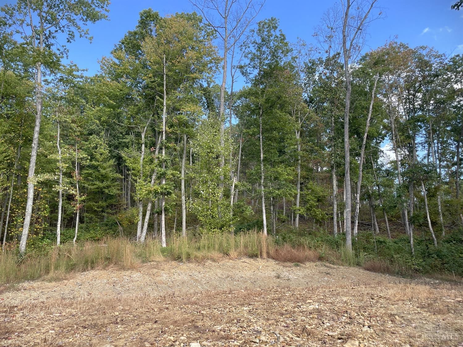 5742 St Rt 781, Meigs Twp, OH 45660