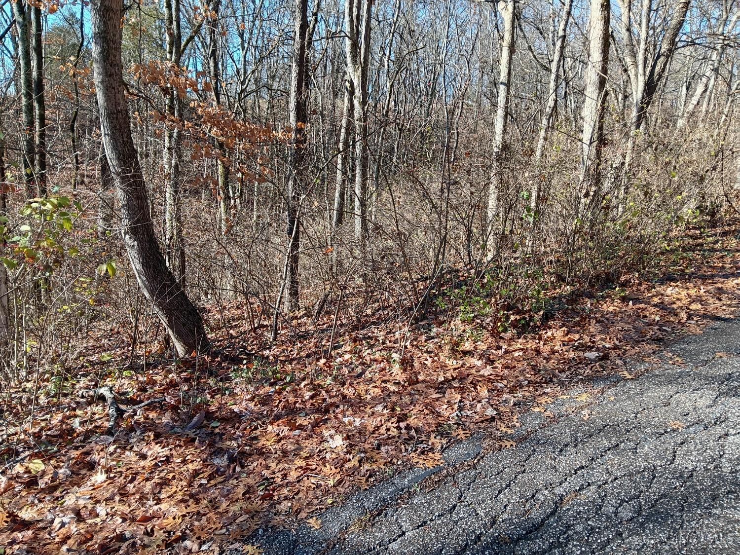 Alpine Terrace, Pierce Twp, OH 45157