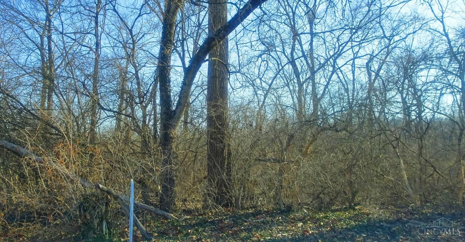 Photo of Leslie Avenue