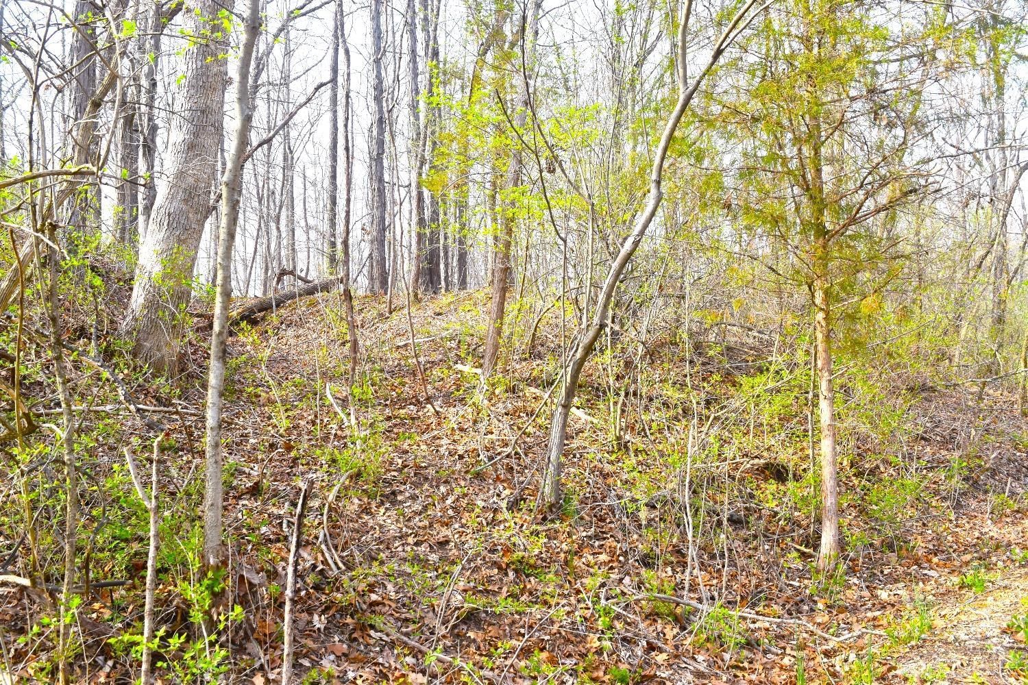 Woodland Trail Road, Metamora, IN 47030