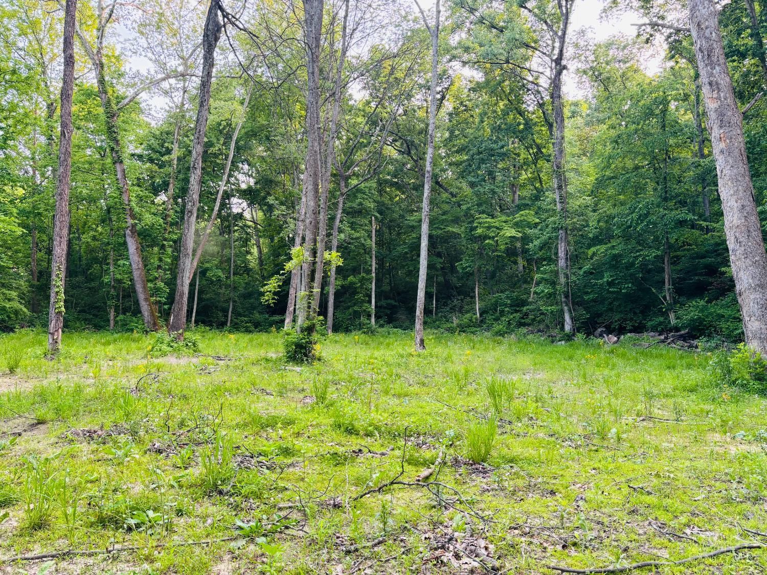 Laurel Road, Laurel, IN 47024