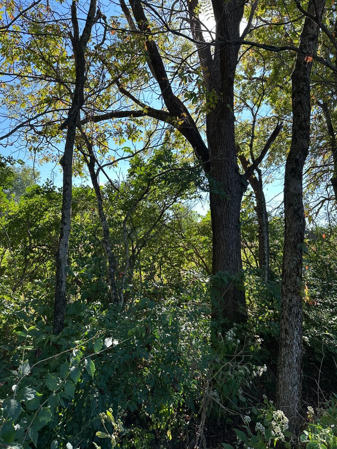 Liberty Keuter Road, Turtle Creek Twp, OH 45036