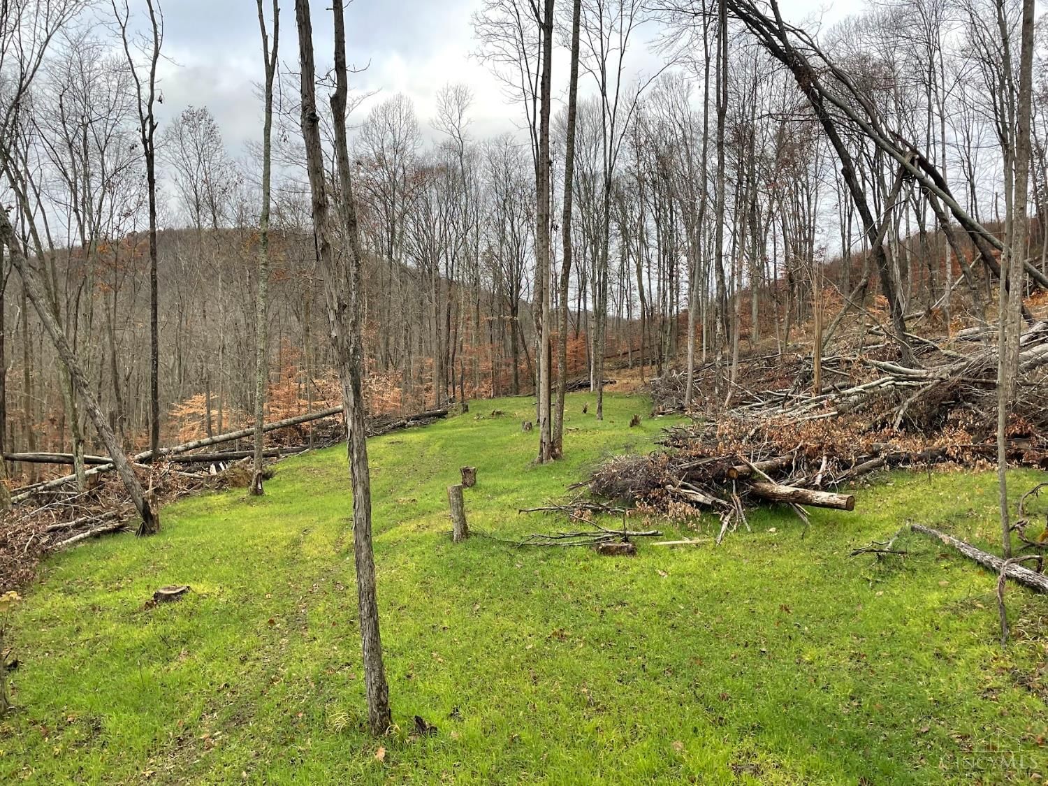 Photo of ac Beech Fork Road