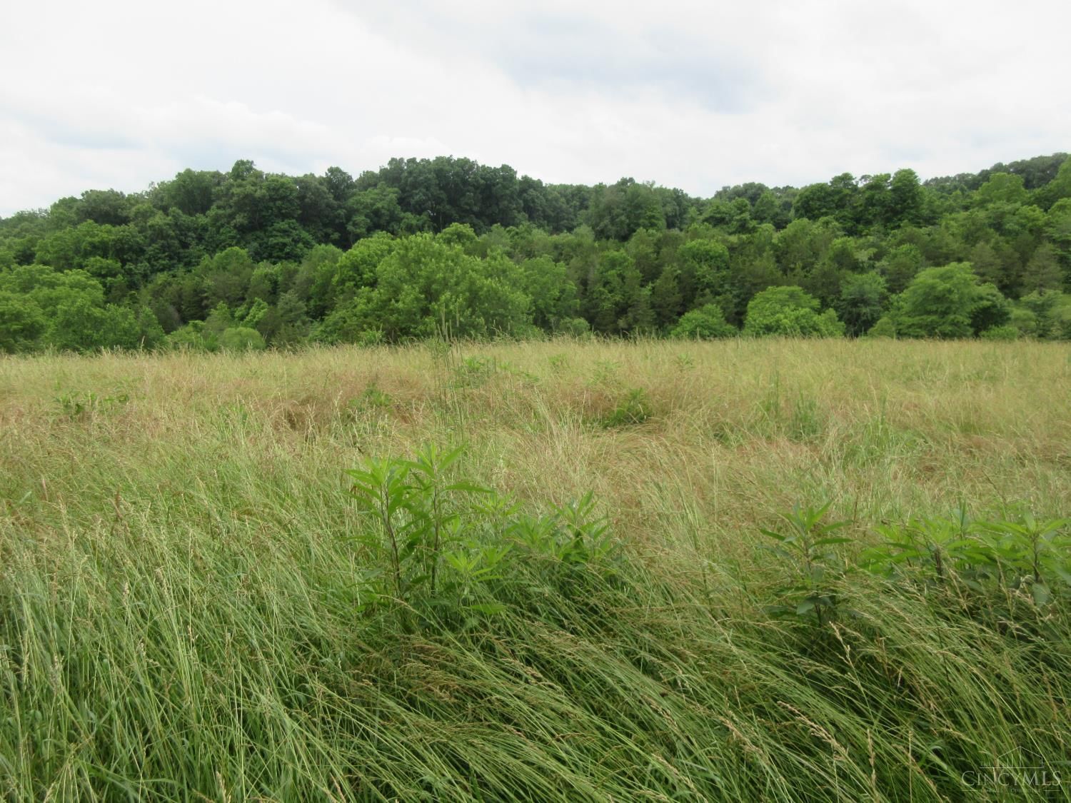 Photo of Dewitt Road