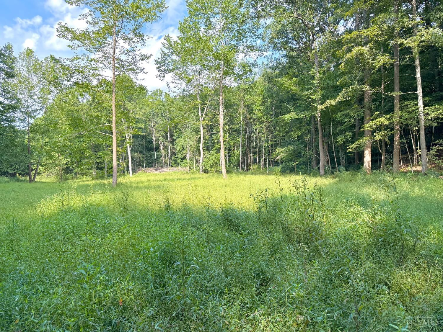 Photo of S Side Chenoweth Fork Road