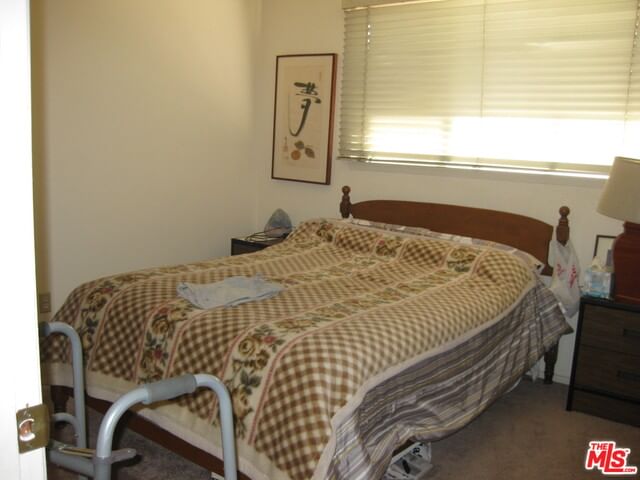 HOLLY OAK photo 7