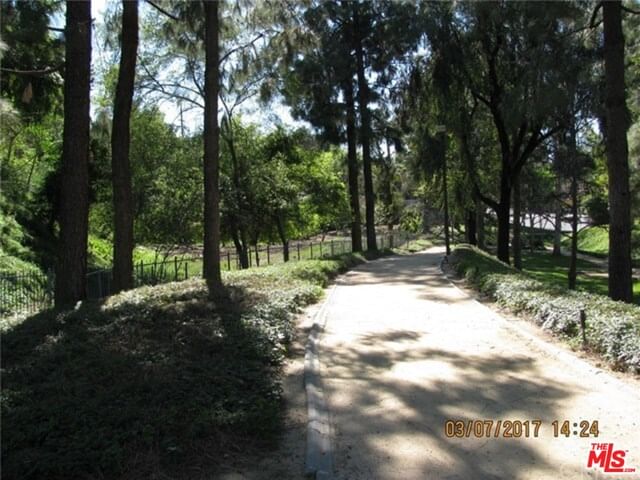 LOREN photo 3